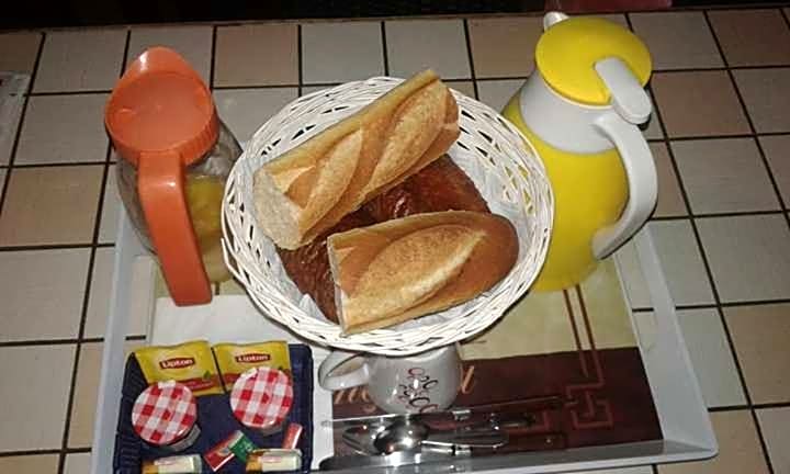 Le chant des oiseaux