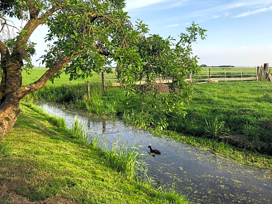 Slapen op het platteland