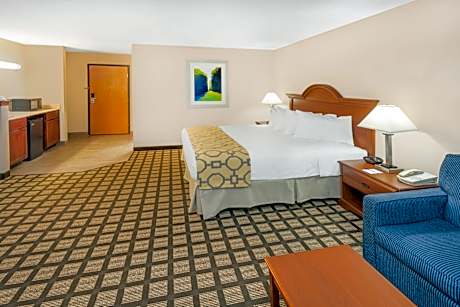 1 King Bed, Studio Suite, Non-Smoking