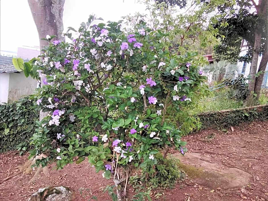 Residencial Rodrigues Florianópolis