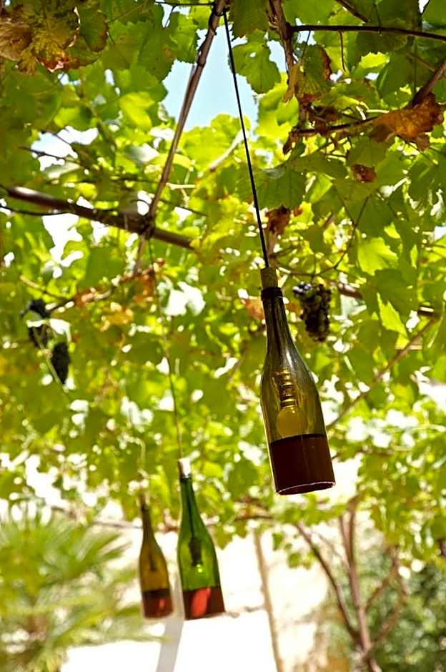 Les Sardines aux Yeux Bleus Chambres d'Hôtes