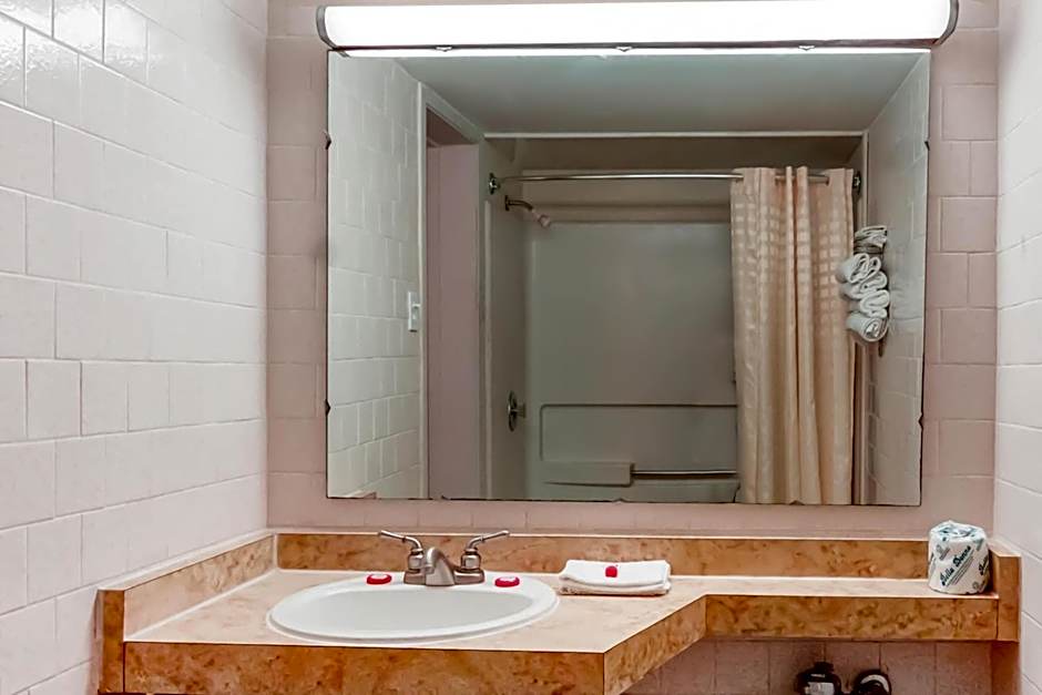 OYO Hotel Alice TX Hwy 281 West