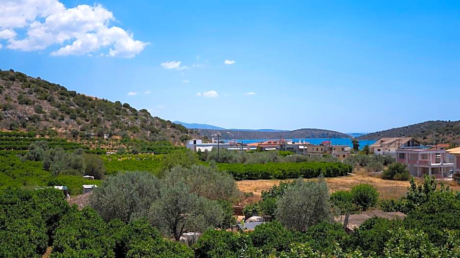Villa Vivari Suites