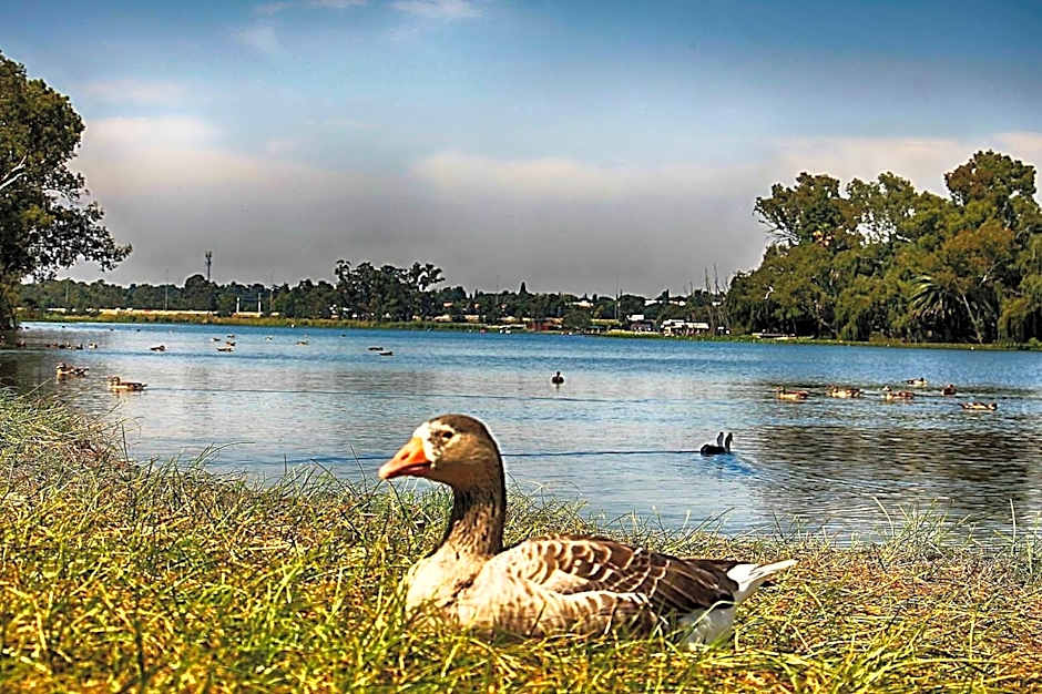 Lakeview Boutique Hotel & Conference Center