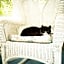 Black Walnut Bed and Breakfast