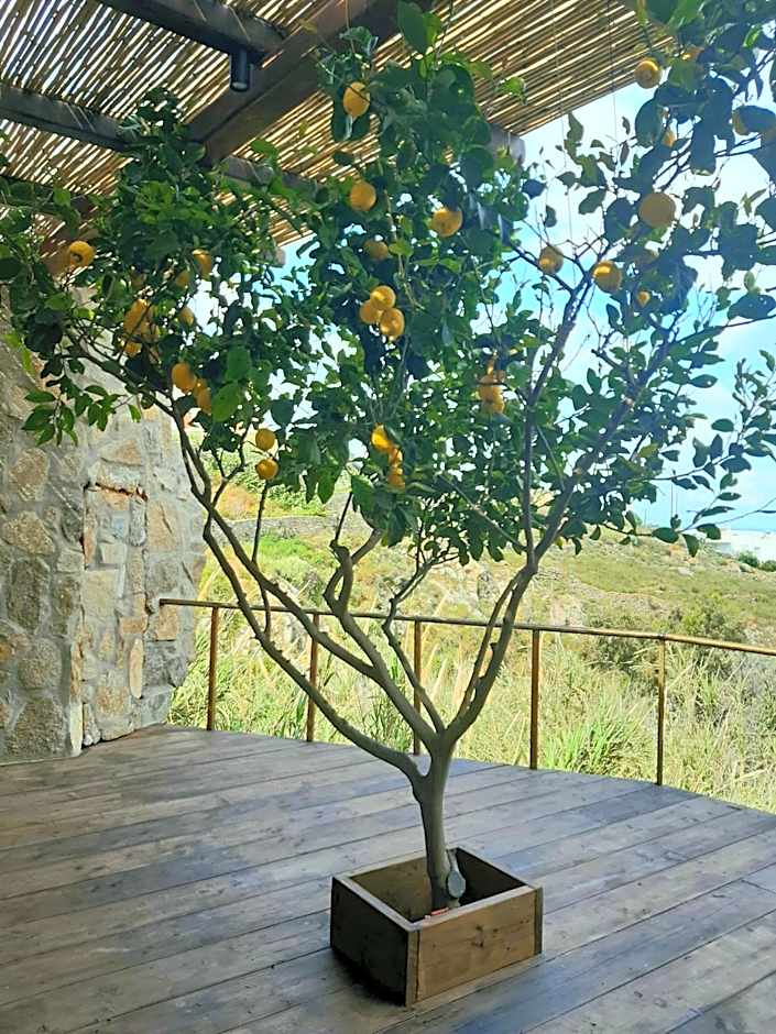 KLIDON Dreamy Living Suites