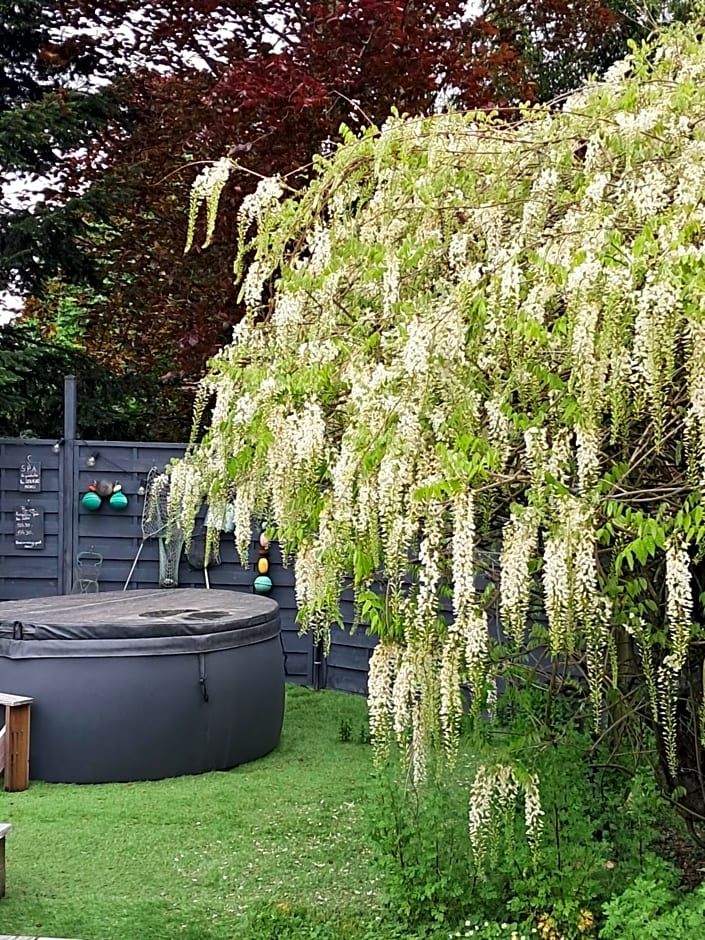 Le buisson de la Gariole