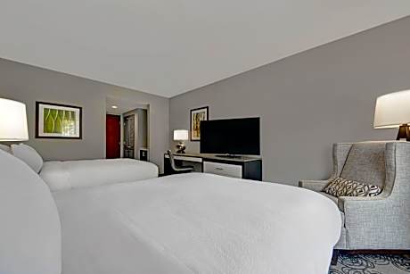 Traditional, Guest room, 2 Queen