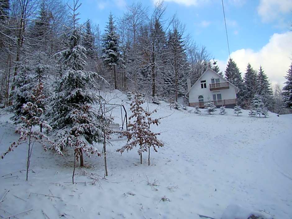 Șoaptele pădurii & Căsuța din pădure