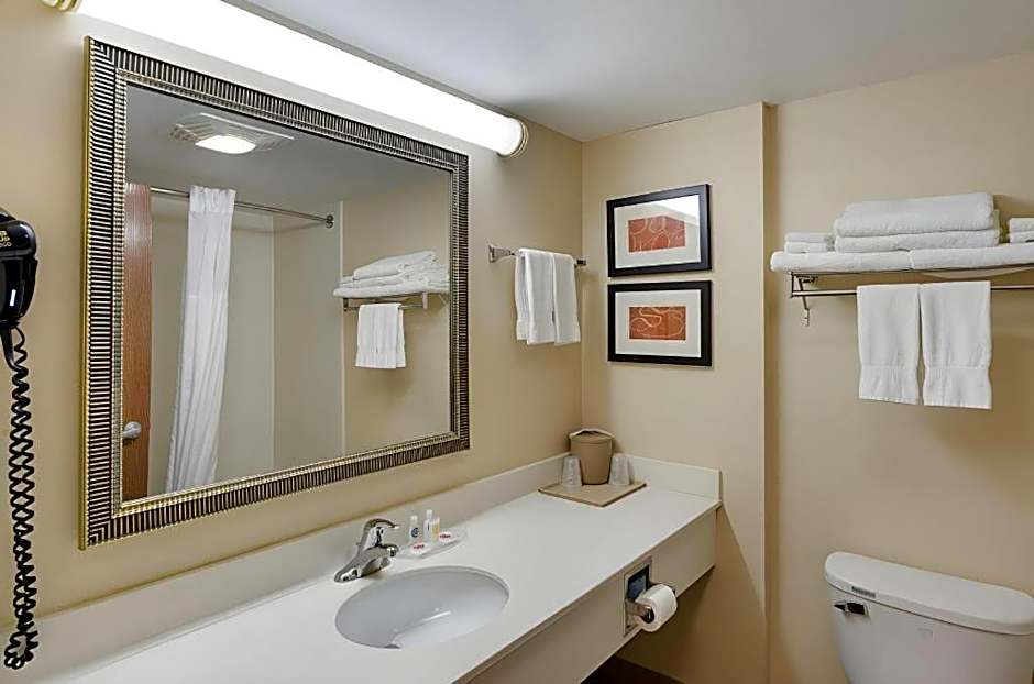 Comfort Suites Wytheville near Conference Center