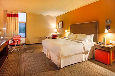 Traditional King, Guest room, 1 King