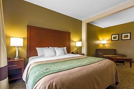 1 King Bed, Suite, Nonsmoking