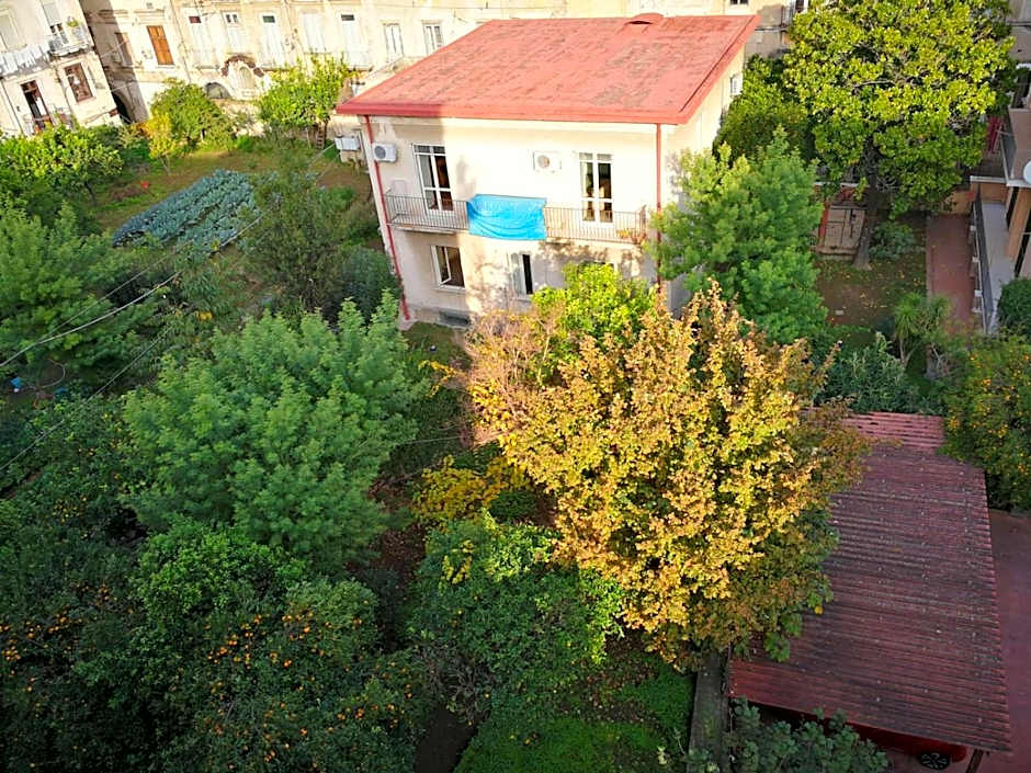 Il Giardino Di Vico Neve