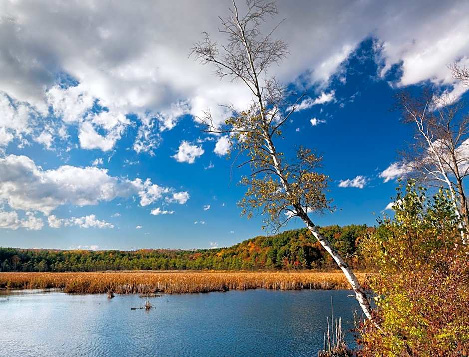 Eastover Estate and Eco Village