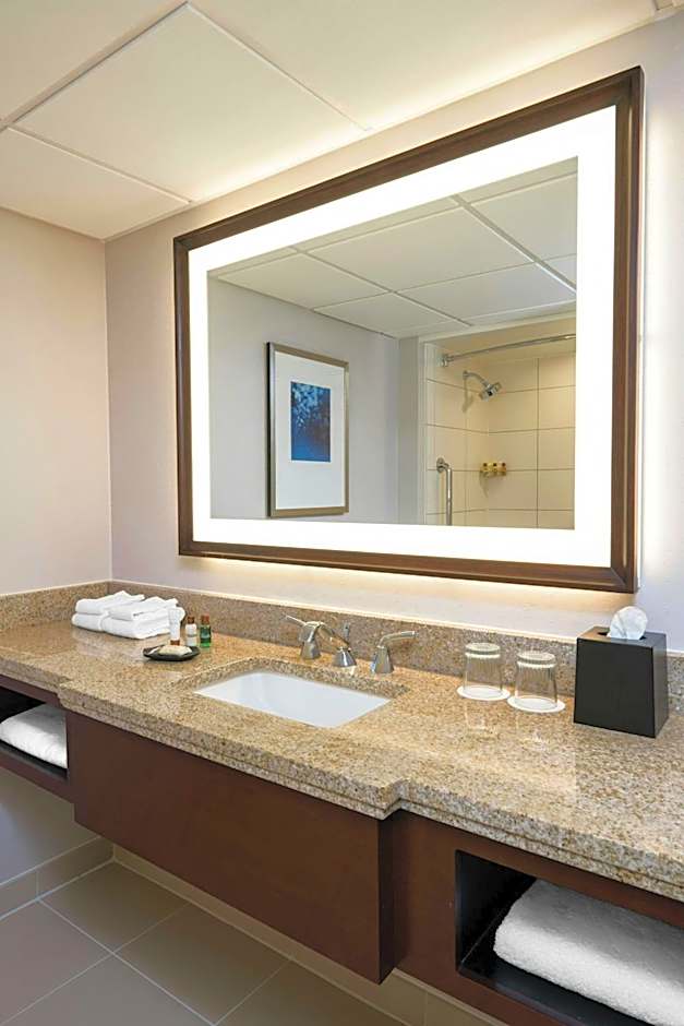 Sheraton Memphis Downtown Hotel