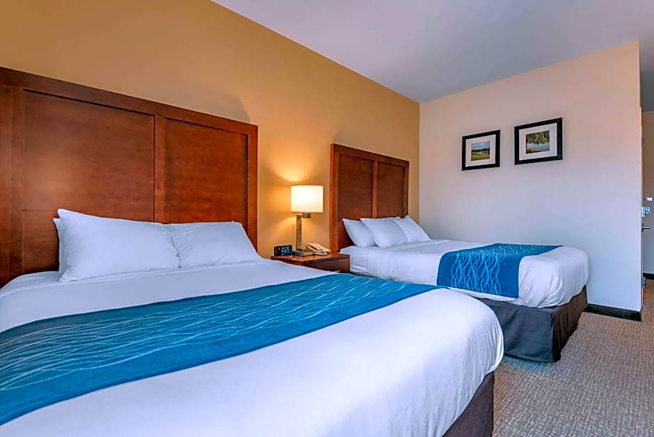Comfort Inn Apalachin / Binghamton W Route 17