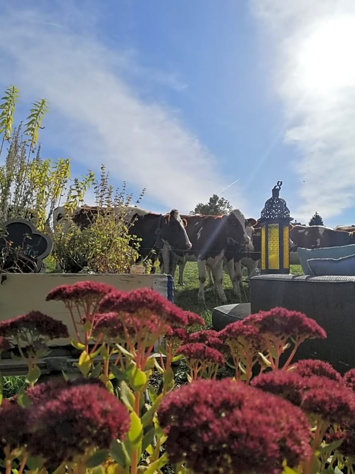 Petite maison sur la colline du Gibloux: 1chambre,1 salon et salle de bain privés au rez de chaussé, piscine extérieur et BBQ ,