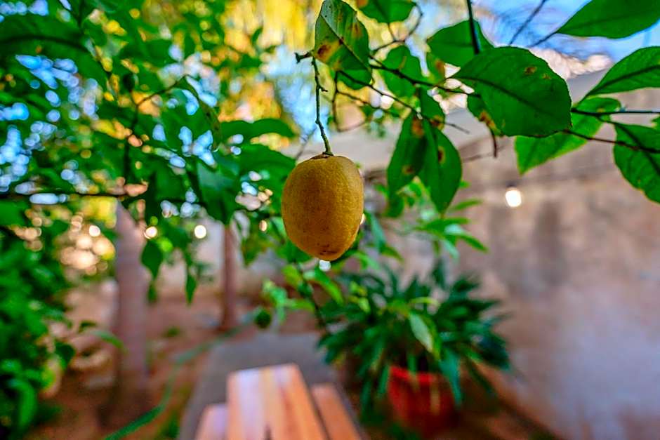 Antico Frantoio Cairoli B&B Exclusive Room