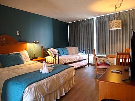 Family Room with Day Bed