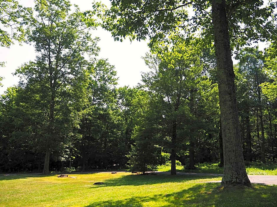 Woodfield Manor - A Sundance Vacations Property