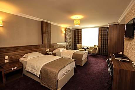 Large Double or Twin Room