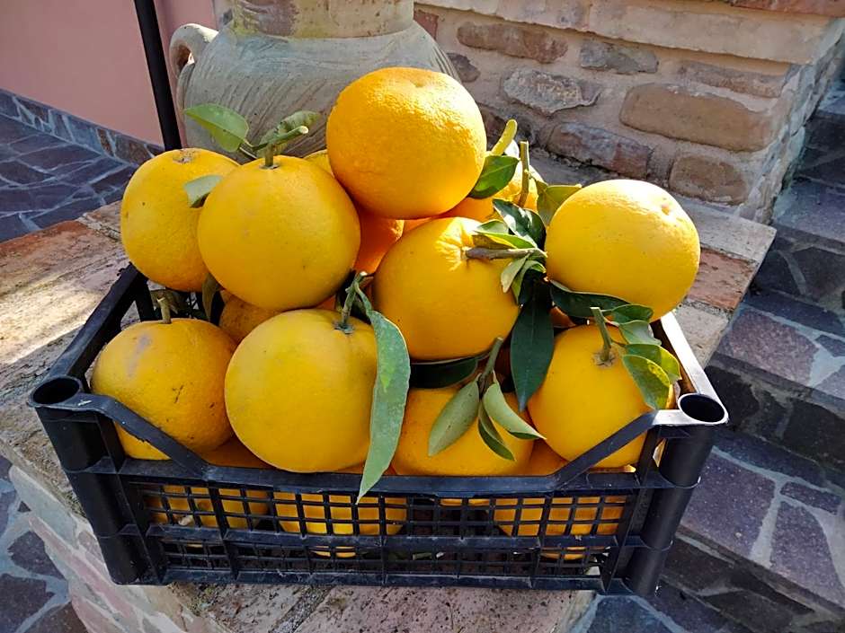 B&B La Casa di Giuliana