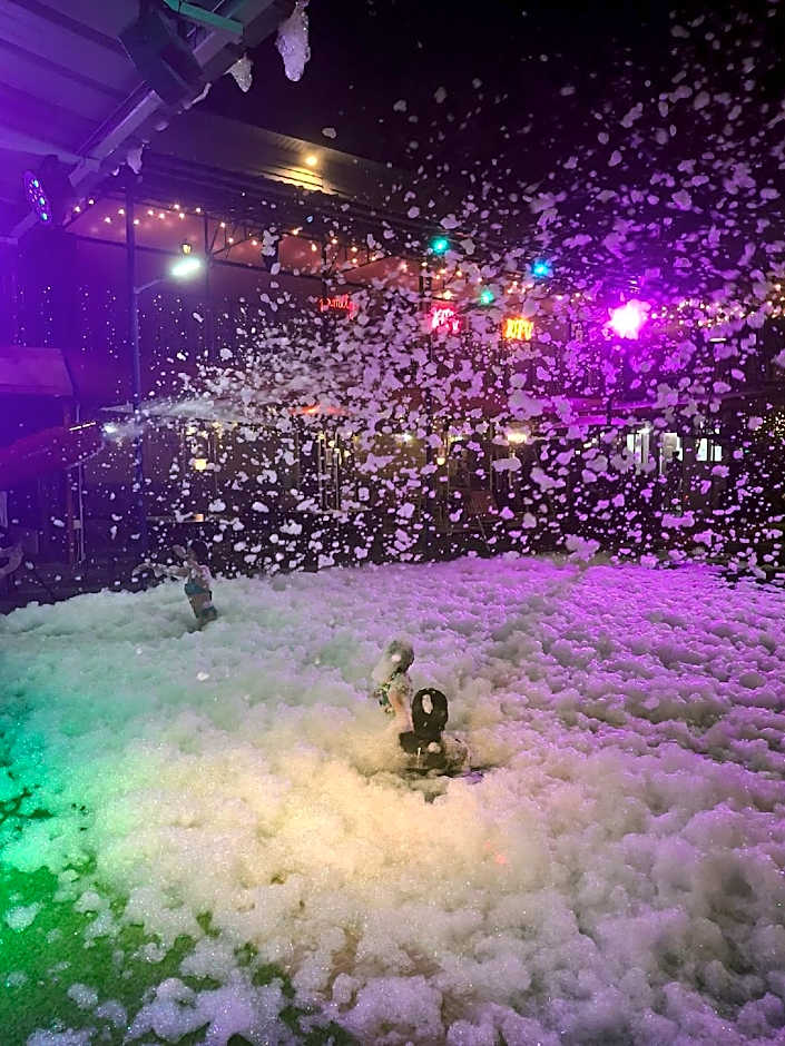 Hotel Snow