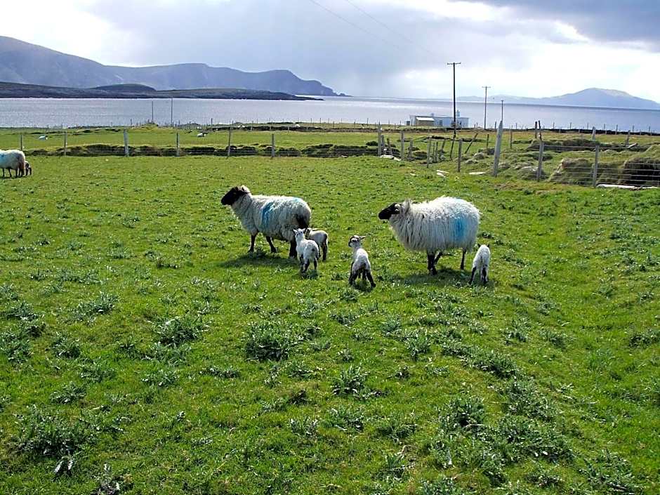 Achill West Coast House