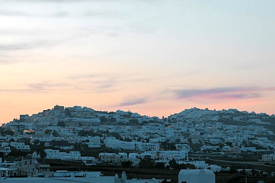 Seven Grapes - Karterados