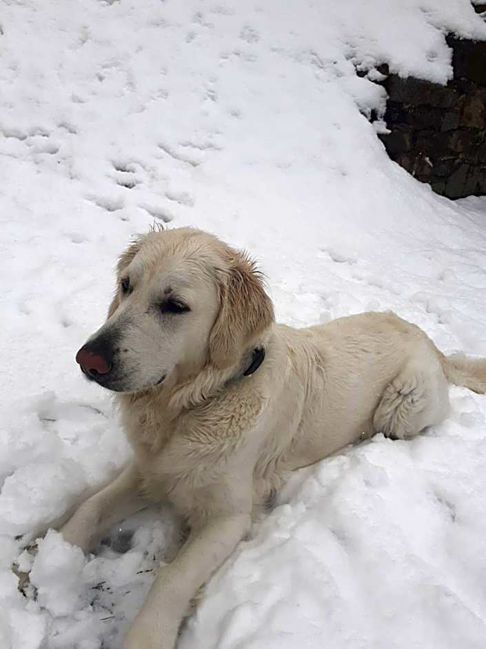 Zirnberg Appartements