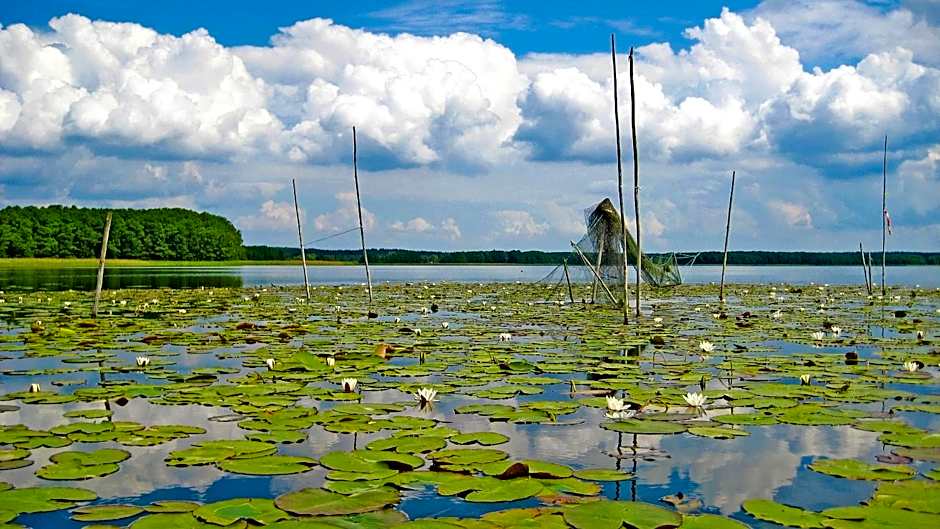 Reetdachhotel - Residenz am Ostufer