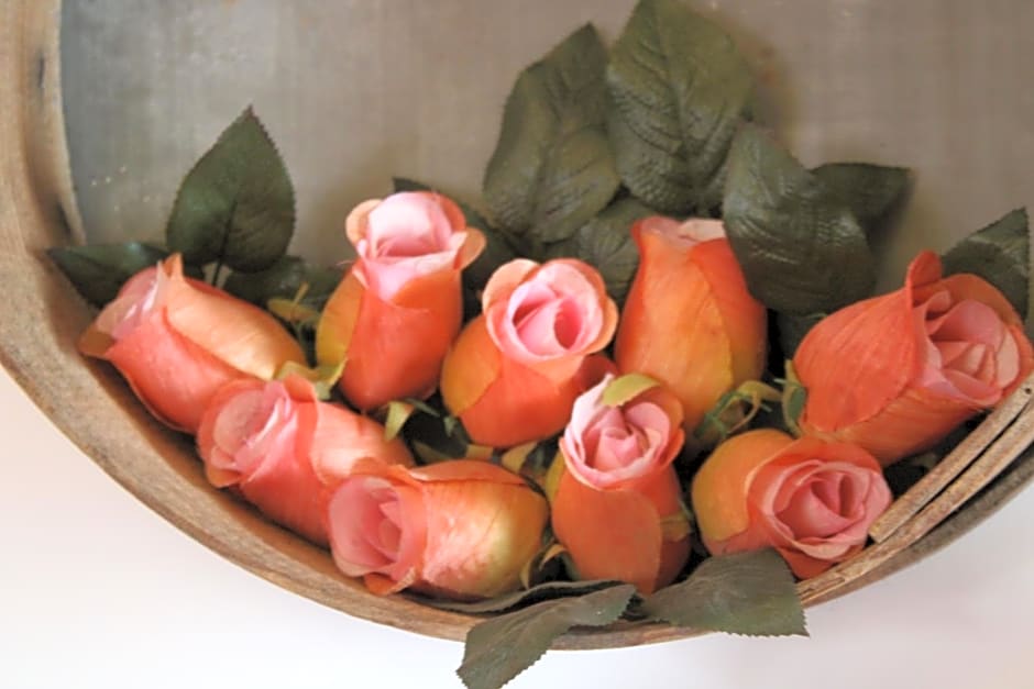 Casa da Aldeia da Avó