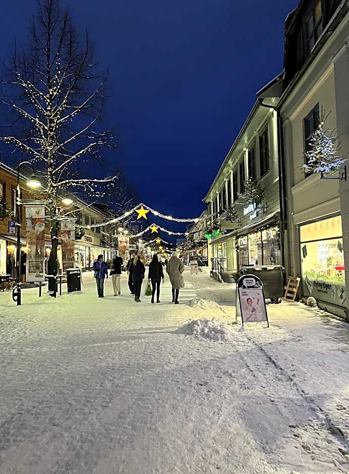 Aksjemøllen - by Classic Norway Hotels
