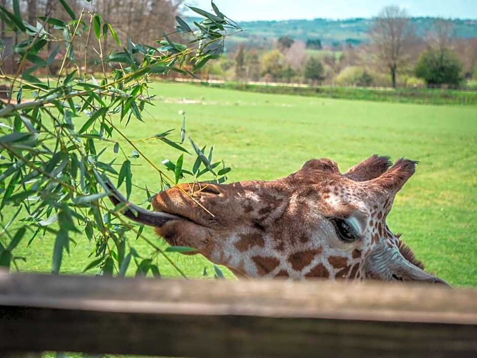 Les Lodges Du Reynou