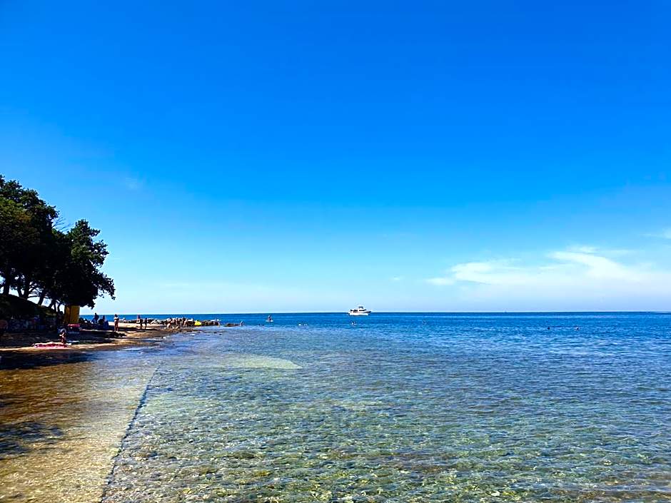 Youth Hostel Pinesta