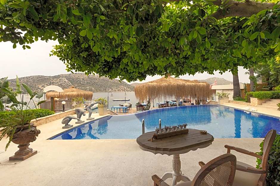 Sabrinas Haus - Adult Only +14