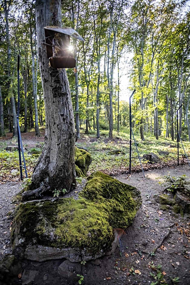 4 Évszak Hegyihotel