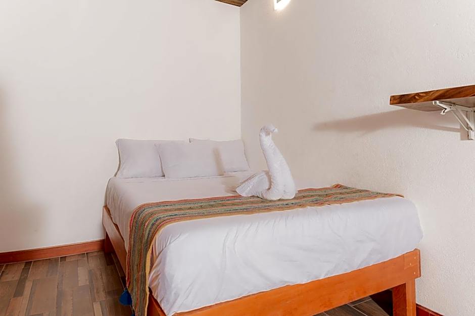 Hotel Axolotl