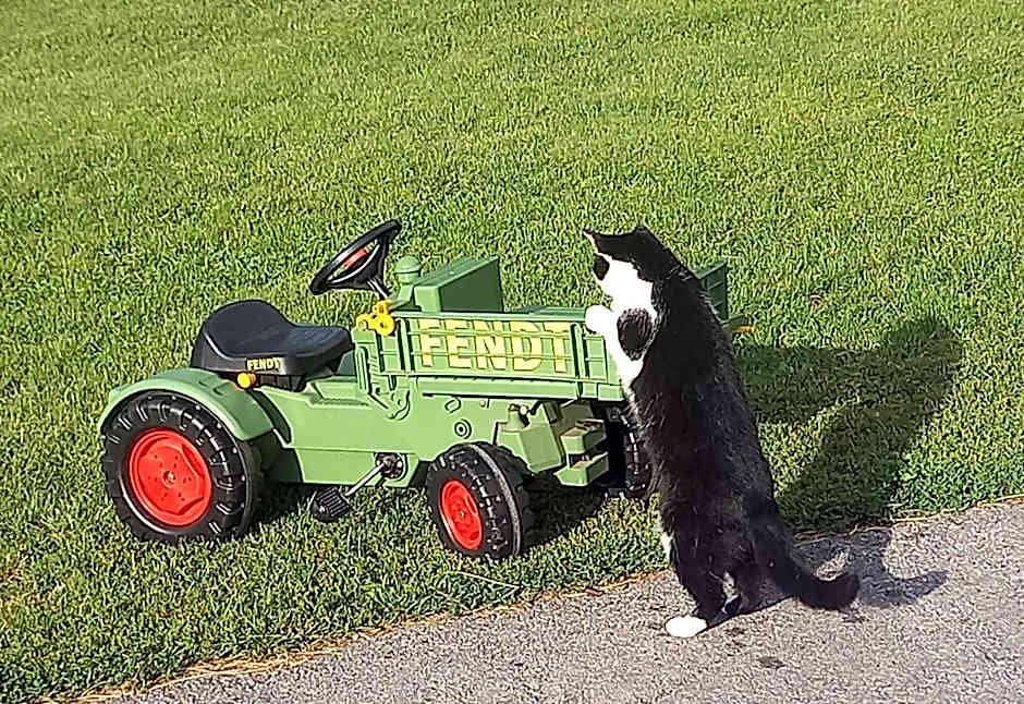 Köstlhof, Familie Hassler