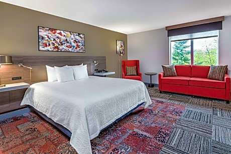 1 KING MOBILITY ACCESSIBLE W/ROLL IN SHOWER