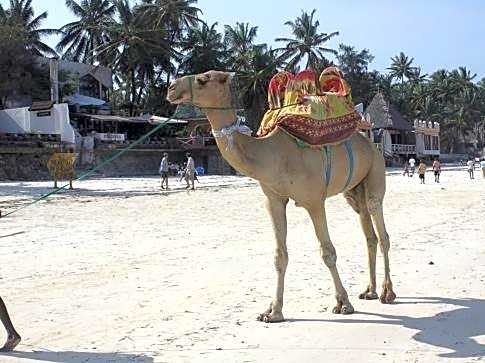 Kenya Bay Beach Hotel