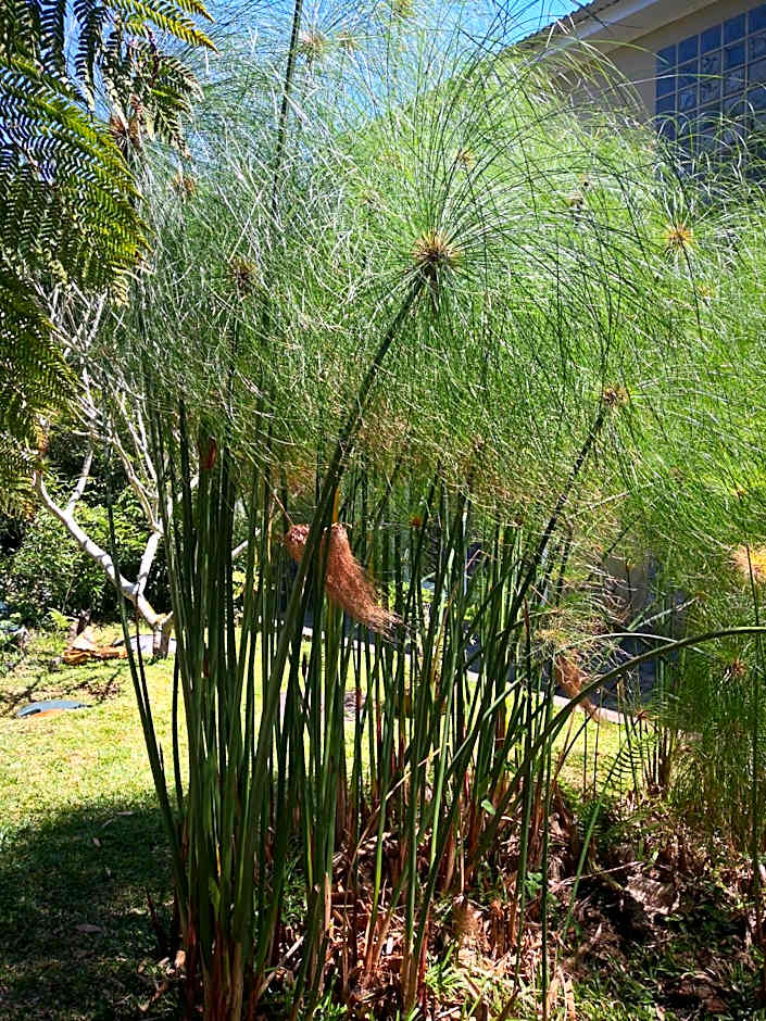 Villa Niagara avec Spa