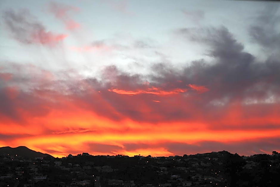 Best Western Wellington