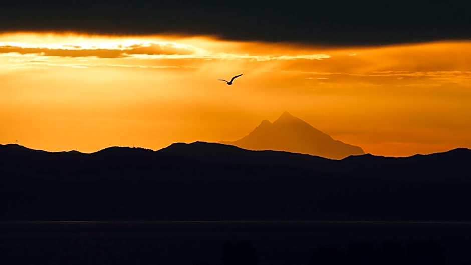 Sun Sight - Deluxe Premium Suites