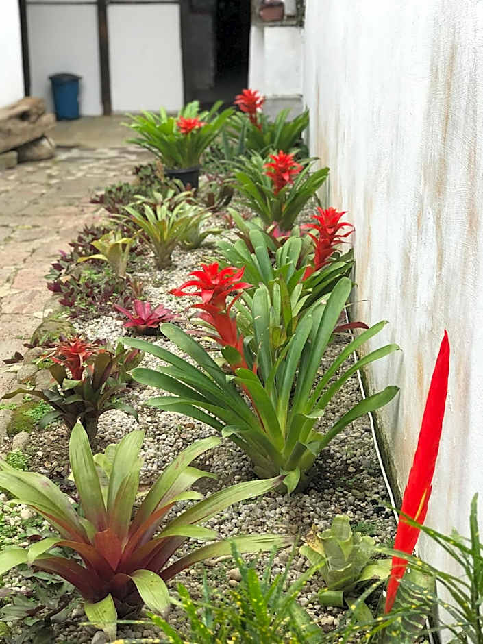 Suítes no Centro Histórico de Paraty