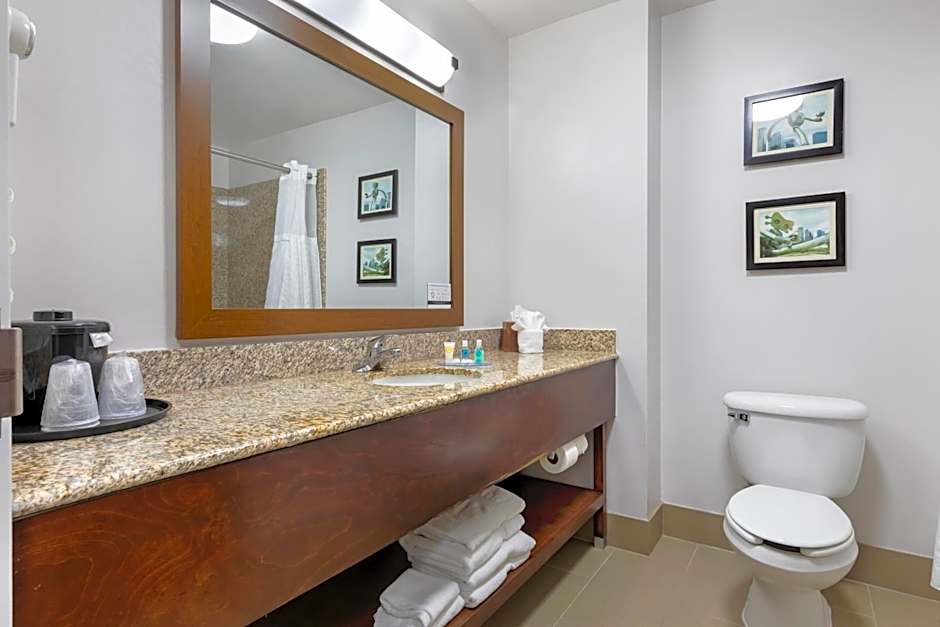 Comfort Suites Dfw N/Grapevine