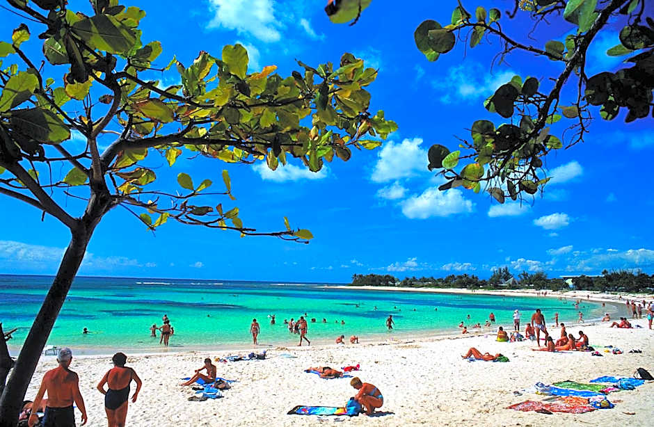 Résidence Le Vallon Guadeloupe Parc Piscine Appartements & Studios