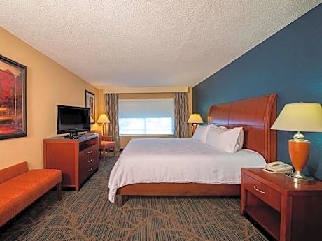 1 Kng Dlx 1 Bdrm Ste Mobility Access Ri Shwr Living Area Comp Wifi-bed W/ Adjust Firm Dial Hi Def.fl