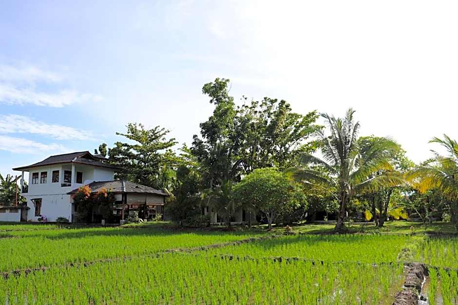 Gino's Place - Guest House & Jungle Trekking