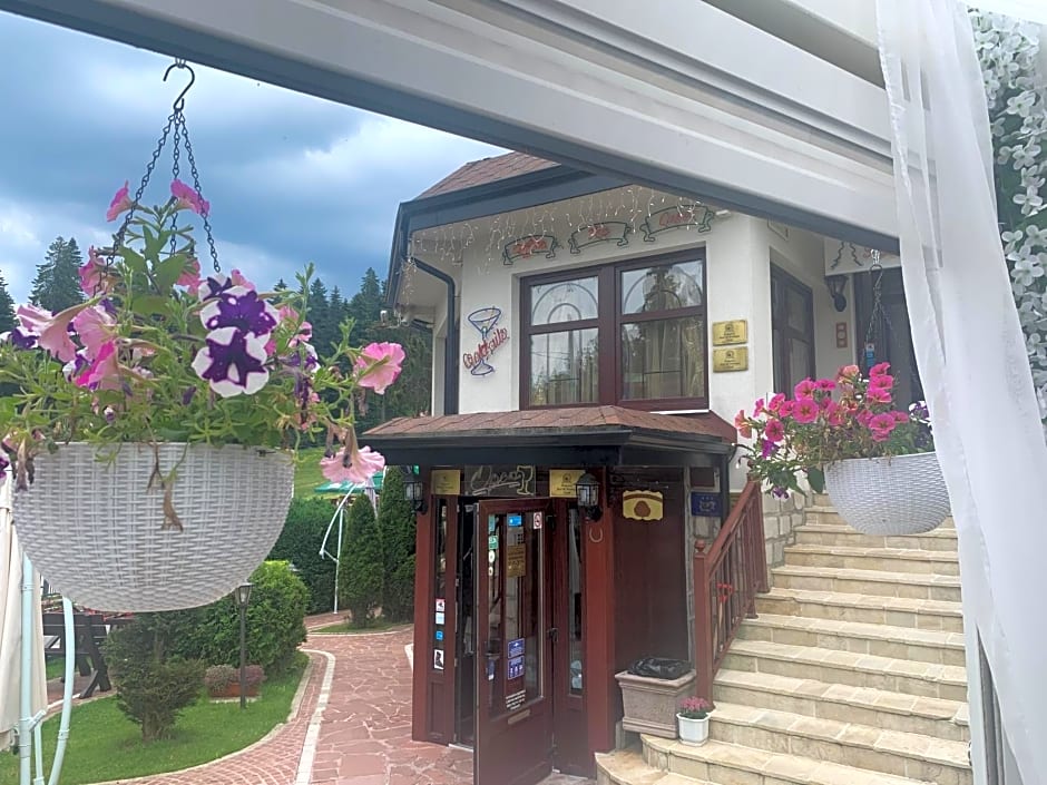 Alpin Borovets, Алпин Боровец